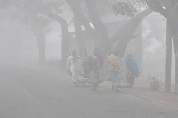 তীব্র শৈত্যপ্রবাহের ফাঁদে দেশ, থাকবে সপ্তাহজুড়ে