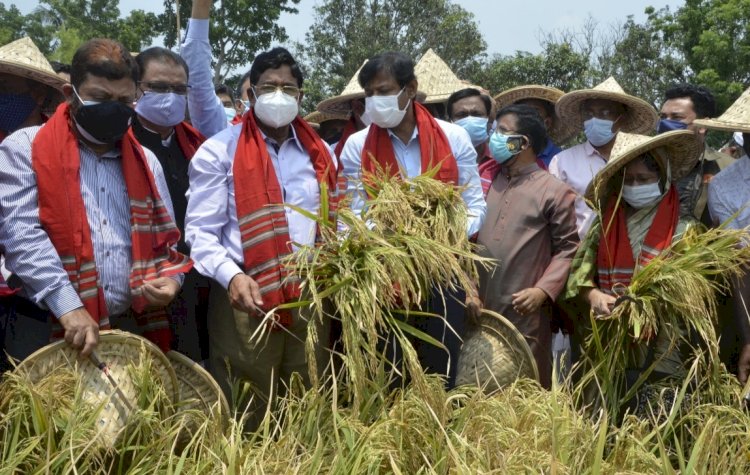 দেশে খাদ্য নিরাপত্তার চ্যালেঞ্জ মোকাবেলা করা সম্ভব হচ্ছে : কৃষিমন্ত্রী