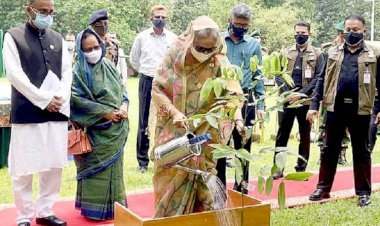 তিনটি করে গাছ লাগানোর আহ্বান প্রধানমন্ত্রীর 