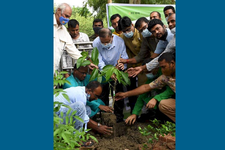 জিয়াউর রহমান হাজার হাজার বৃক্ষও ধ্বংস করেছেন