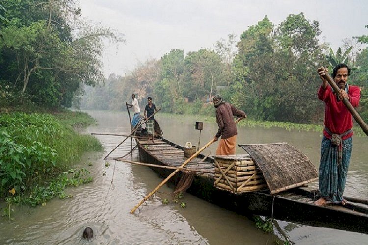 সুন্দরবনে ২ মাস মাছ ধরা বন্ধ