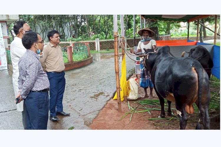 কমলগঞ্জে দিনব্যাপী প্রাণিসস্পদ প্রদর্শনী-২০২১ অনুষ্ঠিত