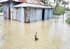 ৪৮ ঘণ্টার মধ্যে উত্তরাঞ্চলে বন্যা সৃষ্টি হতে পারে : পূর্বাভাস ও সতর্কীকরণ কেন্দ্র