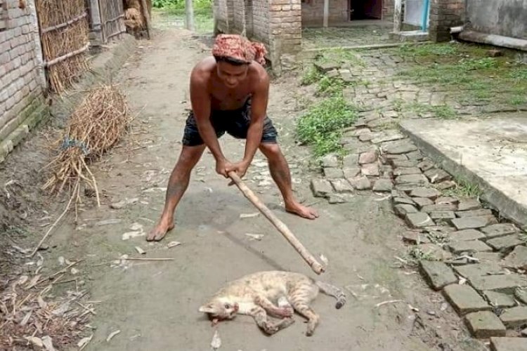 নির্মমভাবে বন্যপ্রানী পিটিয়ে হত্যা, অভিযুক্ত আটক