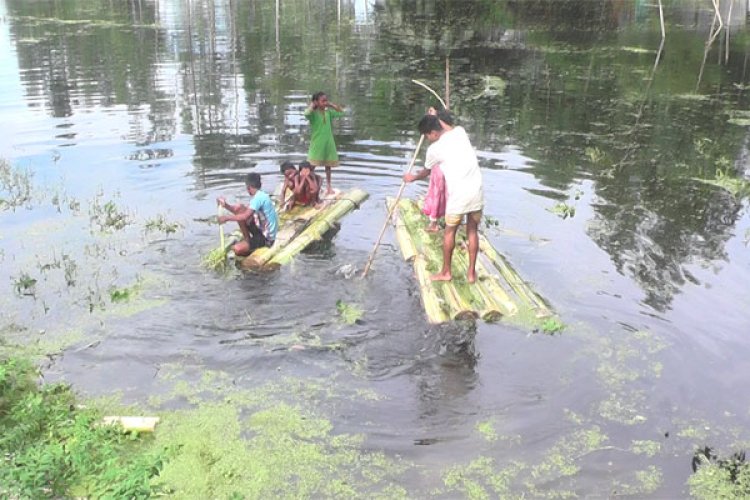 কুড়িগ্রামে বন্যা : সাড়ে ১৫ হাজার হেক্টর ফসলি জমি পানির নিচে