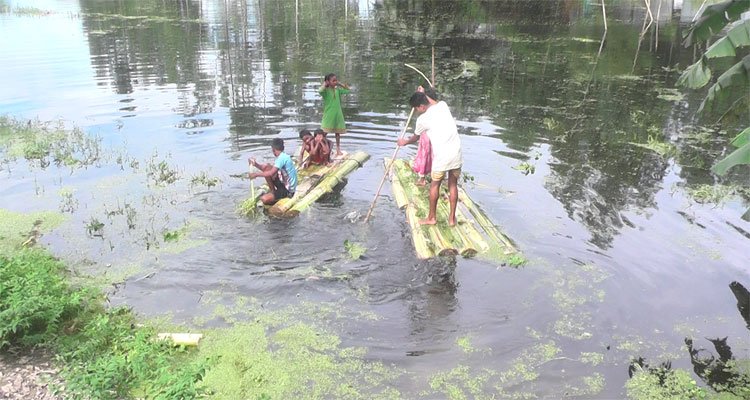 কুড়িগ্রামে বন্যা : সাড়ে ১৫ হাজার হেক্টর ফসলি জমি পানির নিচে