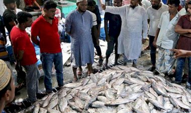 ১১১১৯ মেট্রিক টন চাল জেলেদের জন্য বরাদ্দ