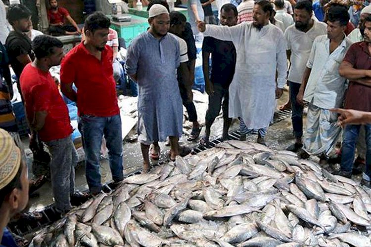 ১১১১৯ মেট্রিক টন চাল জেলেদের জন্য বরাদ্দ