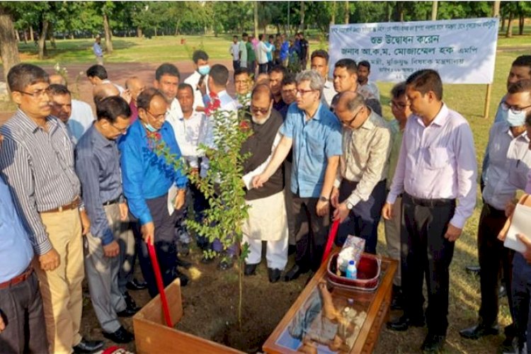 সোহরাওয়ার্দী উদ্যানে বৃক্ষরোপণ কার্যক্রমের উদ্বোধন