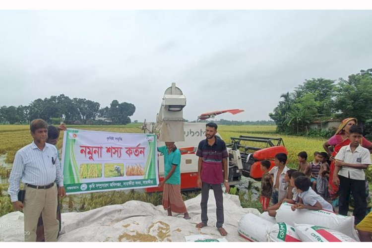 কম্বাইন হারভেস্টারে ভাগ্য ফিরলো মোস্তাফিজের