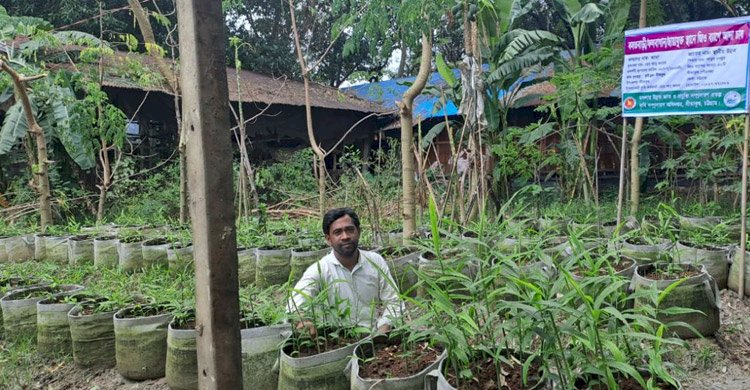 দেশে জনপ্রিয় হয়ে উঠছে ‘ব্যাগিং পদ্ধতি’তে আদা চাষ