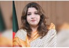 শেখ হাসিনাকে ফেরত আনতে ভারতের সঙ্গে যোগাযোগ অব্যাহত: পররাষ্ট্র প্রতিমন্ত্রী